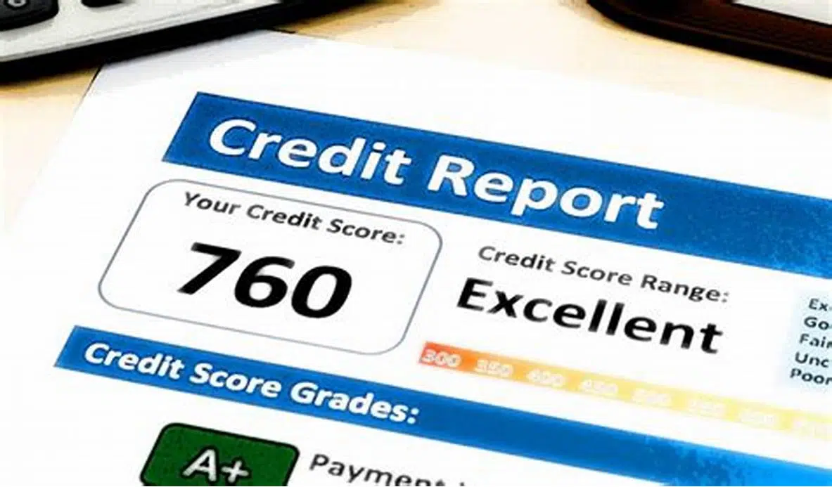 Seguro não aumenta Serasa Score